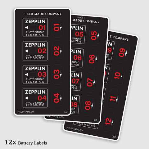 12x Customizable sticker Labels for Sony NP-FZ100 Batteries-by Field Made Co